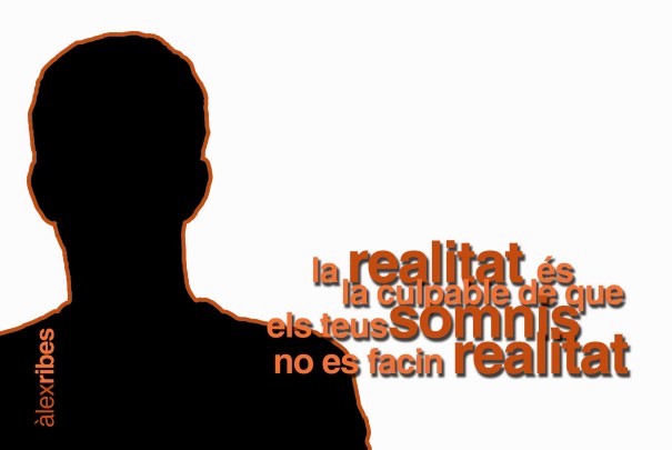 la realitat baja resolución