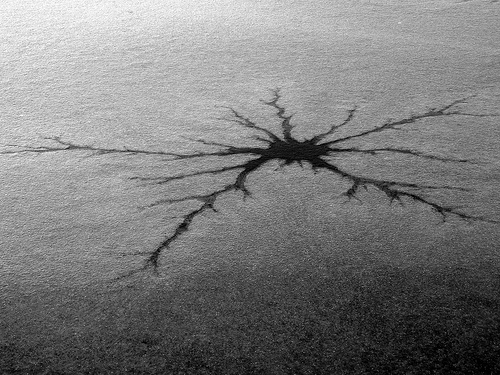 "Thin ice", de M. Fortini