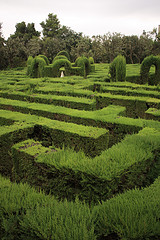 IMG_1916 (Laberint d'Horta), de Jordi Payà