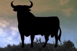 Espanya carinyo, lo nostre no funciona, publicada a l'Avui