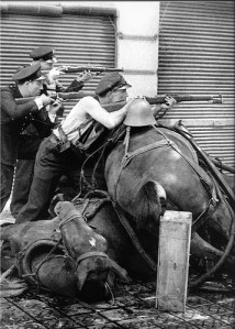 Lluitant darrera d'una barricada de cavalls morts (Barcelona, 1936), fotografia d'Agustí Centelles penjada per "Recuerdos de Pandora" al Flickr