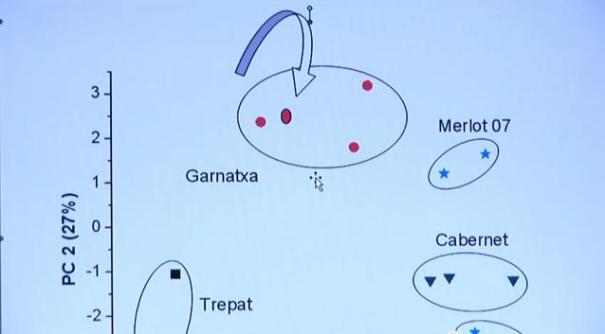 Gràfic d'anàlisi dels components principals del vi