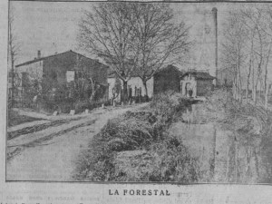 Veu de Catalunya, La (3) - Còpia - Còpia