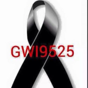 10452323_10206448430599241_3168046311284153659_n