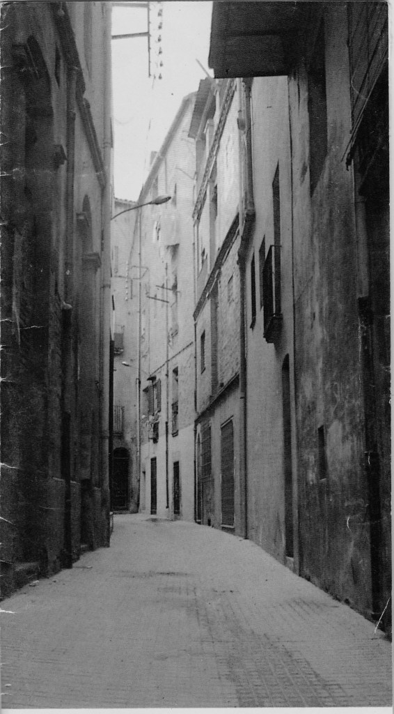 IMG_Vilaclosa - Còpia