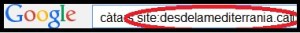 Paràmetre site cerca amb Google