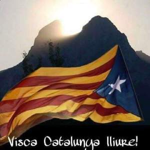 12039377_1189464411071158_8350230283706628350_n